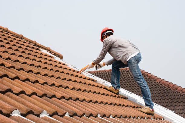Best Green or Eco-Friendly Roofing Solutions  in Country Club Hls, IL